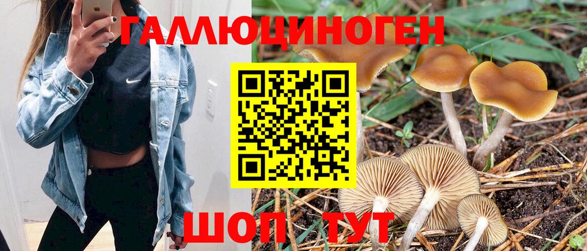 Семилуки  Псилоцибиновые грибы прущие грибы  Галлюциногенные грибы ЛСД  как найти закладки  Вход с VPN 